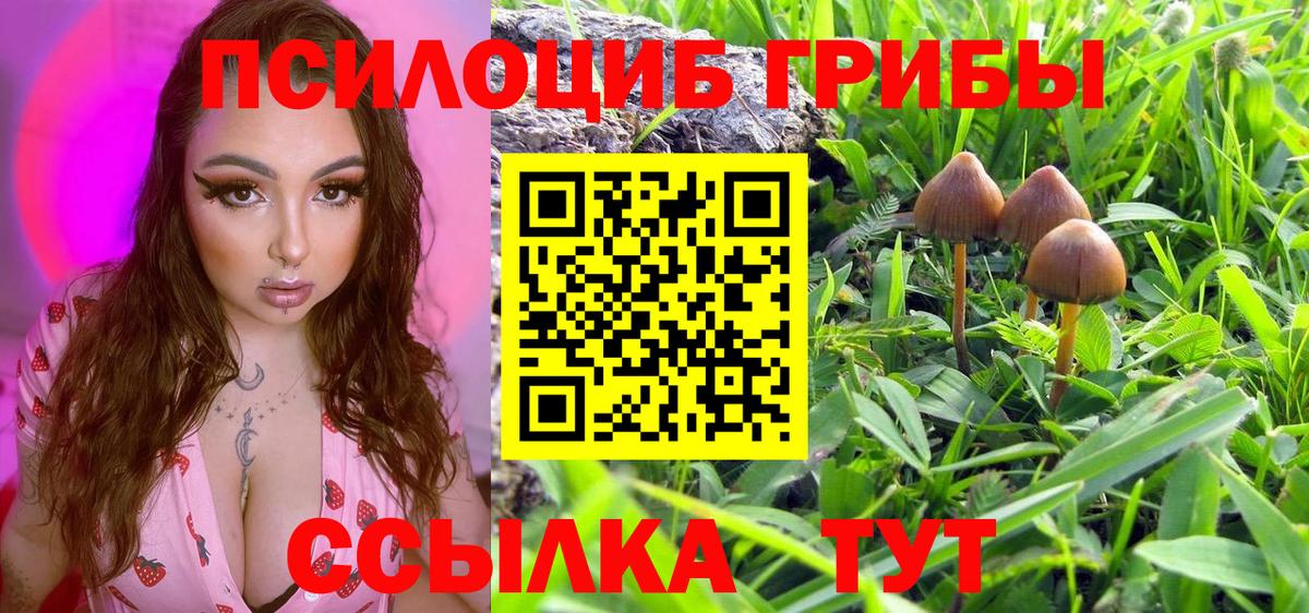 Псилоцибиновые грибы Magic Shrooms  Вход с VPN  Людиново 